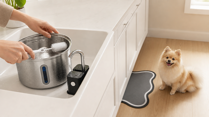 The Pet Fountain Care Set