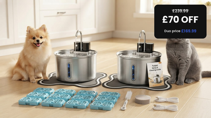 The Pet Fountain Duo