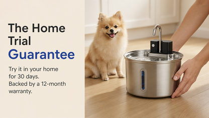 The Pet Fountain